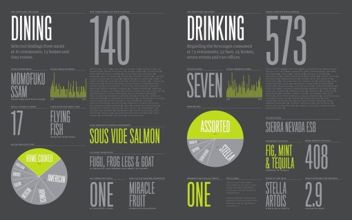 Felton Annual Report 2008