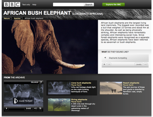 URIs for species such as the Bush Elephant